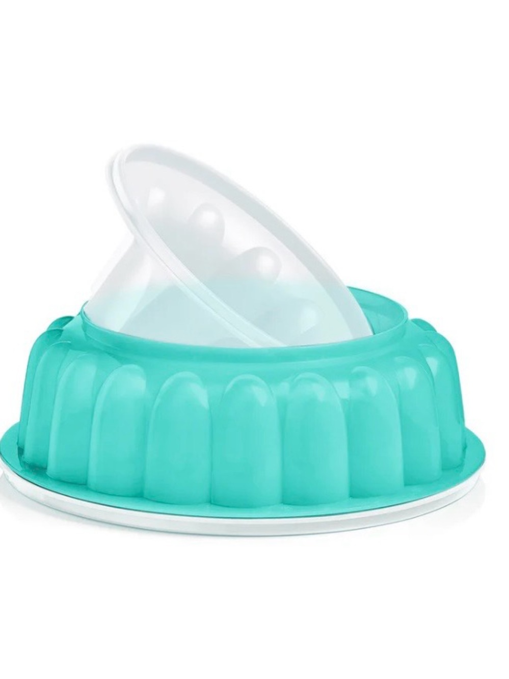 Silicone Jelly Mold in Aqua